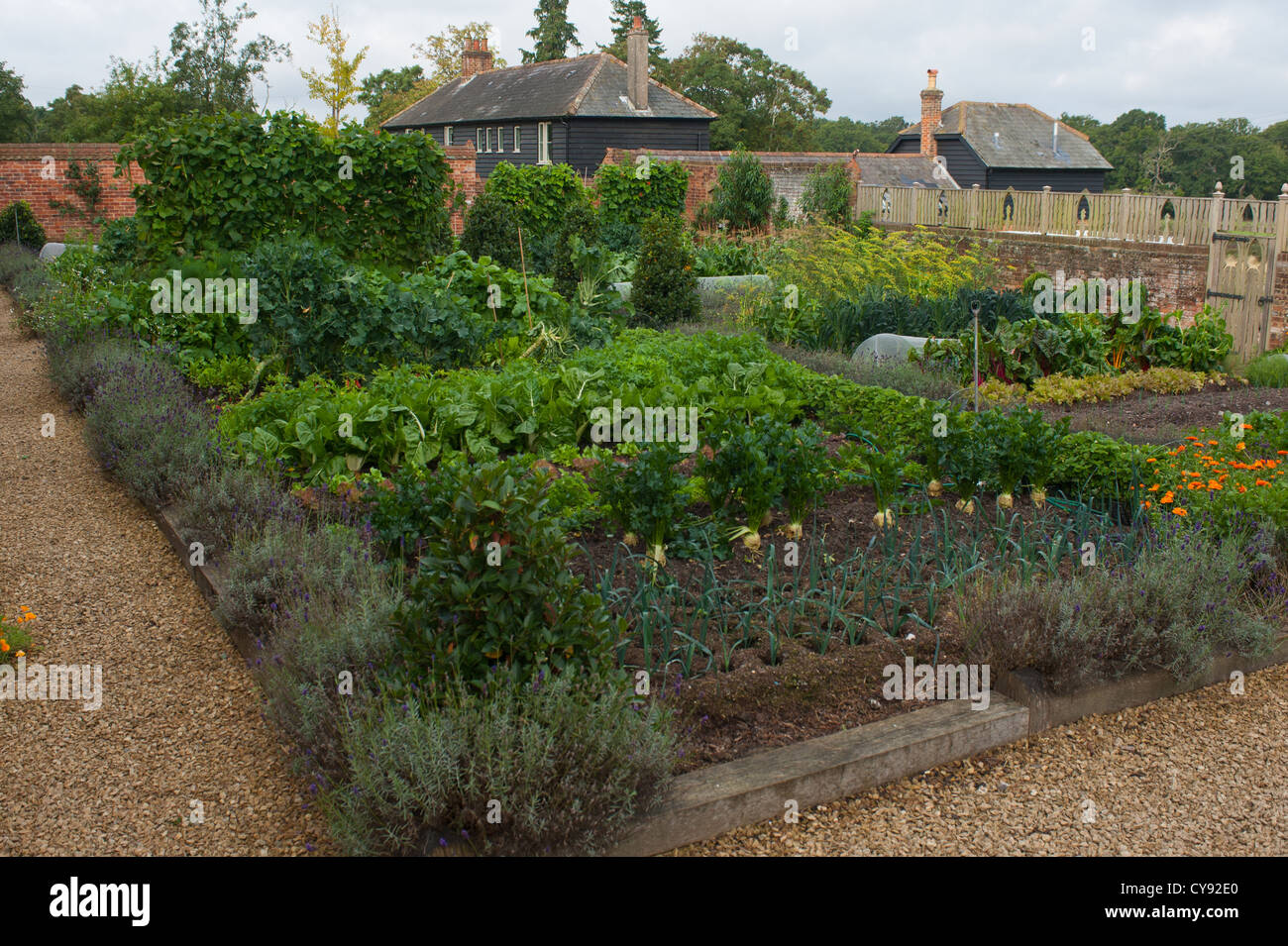 Giardino di erbe,il maiale Brockenhurst Foto Stock