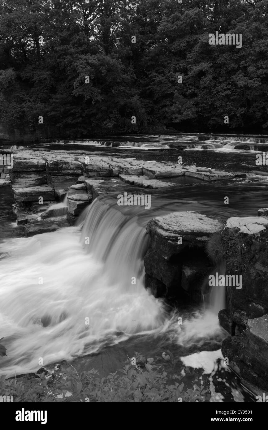 Cascate, fiume Swale; Richmond Town; North Yorkshire, Inghilterra, Regno Unito Foto Stock