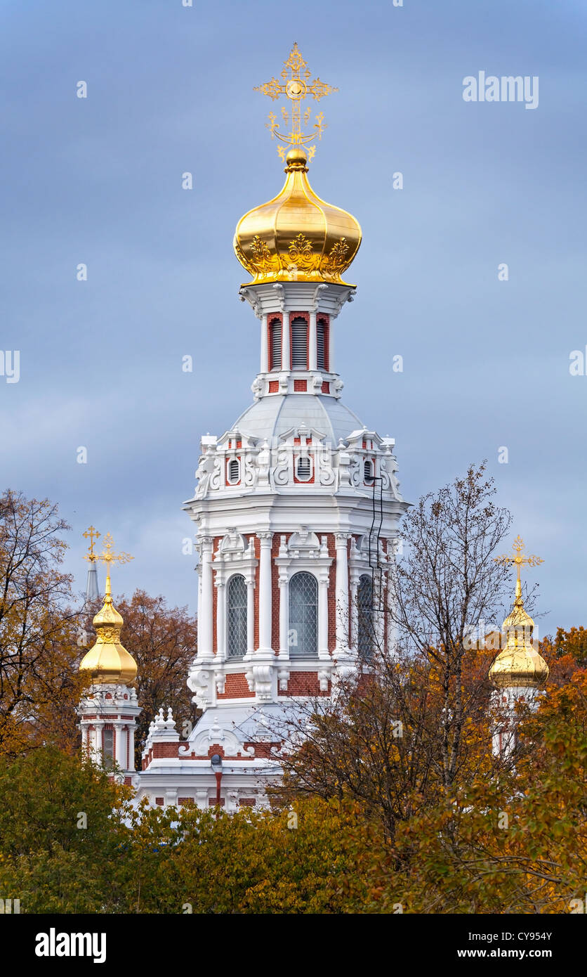 Vecchia Chiesa Ortodossa della Natività di San Pietroburgo, Russia Foto Stock