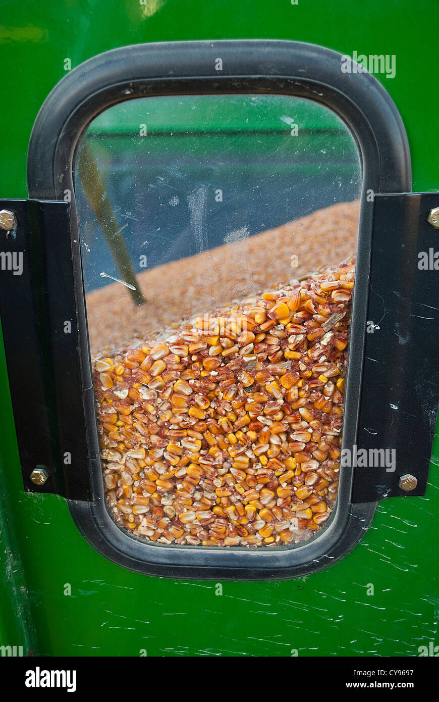 Vista dettagliata del mais di granella attraverso il carro porta di visualizzazione Foto Stock