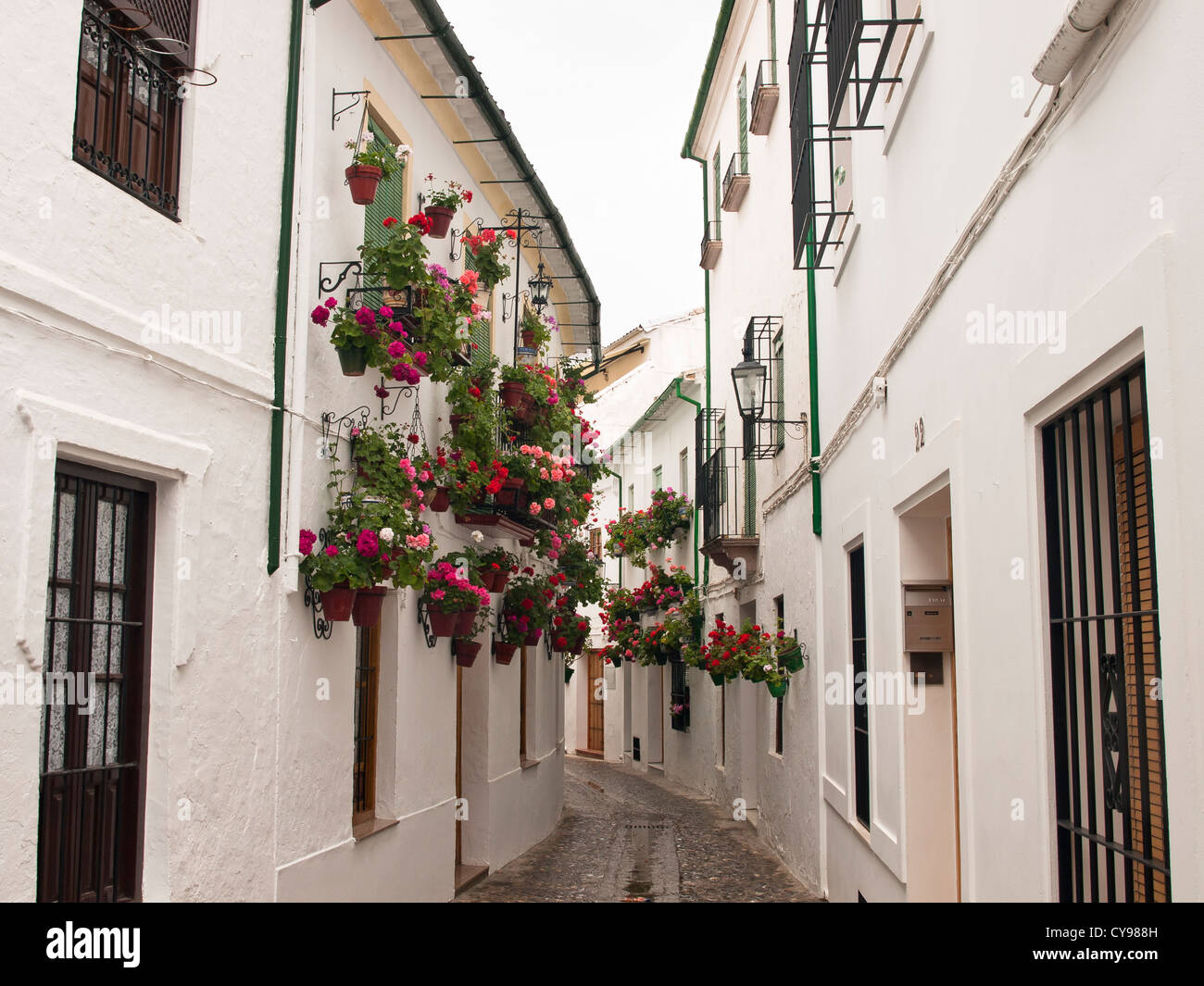 Priego de Cordoba , una città in Andalusia con molte strade strette e case bianche e geranio decorazione delle pareti Foto Stock