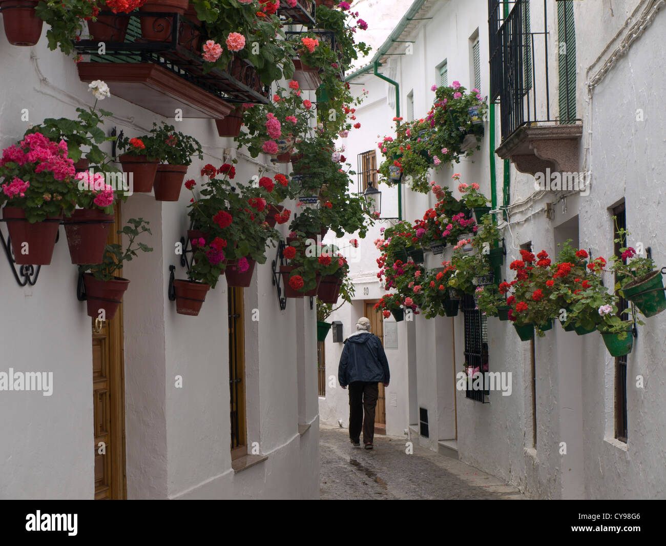 Priego de Cordoba , una città in Andalusia con molte strade strette e case bianche e geranio decorazioni sulle pareti, uomo a camminare Foto Stock