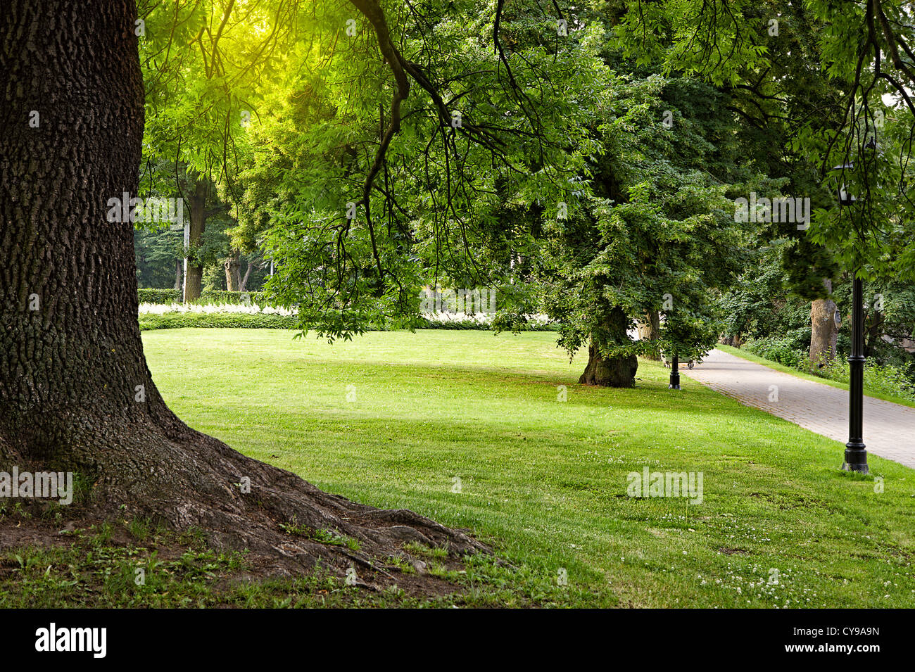 In estate il parco della città Foto Stock