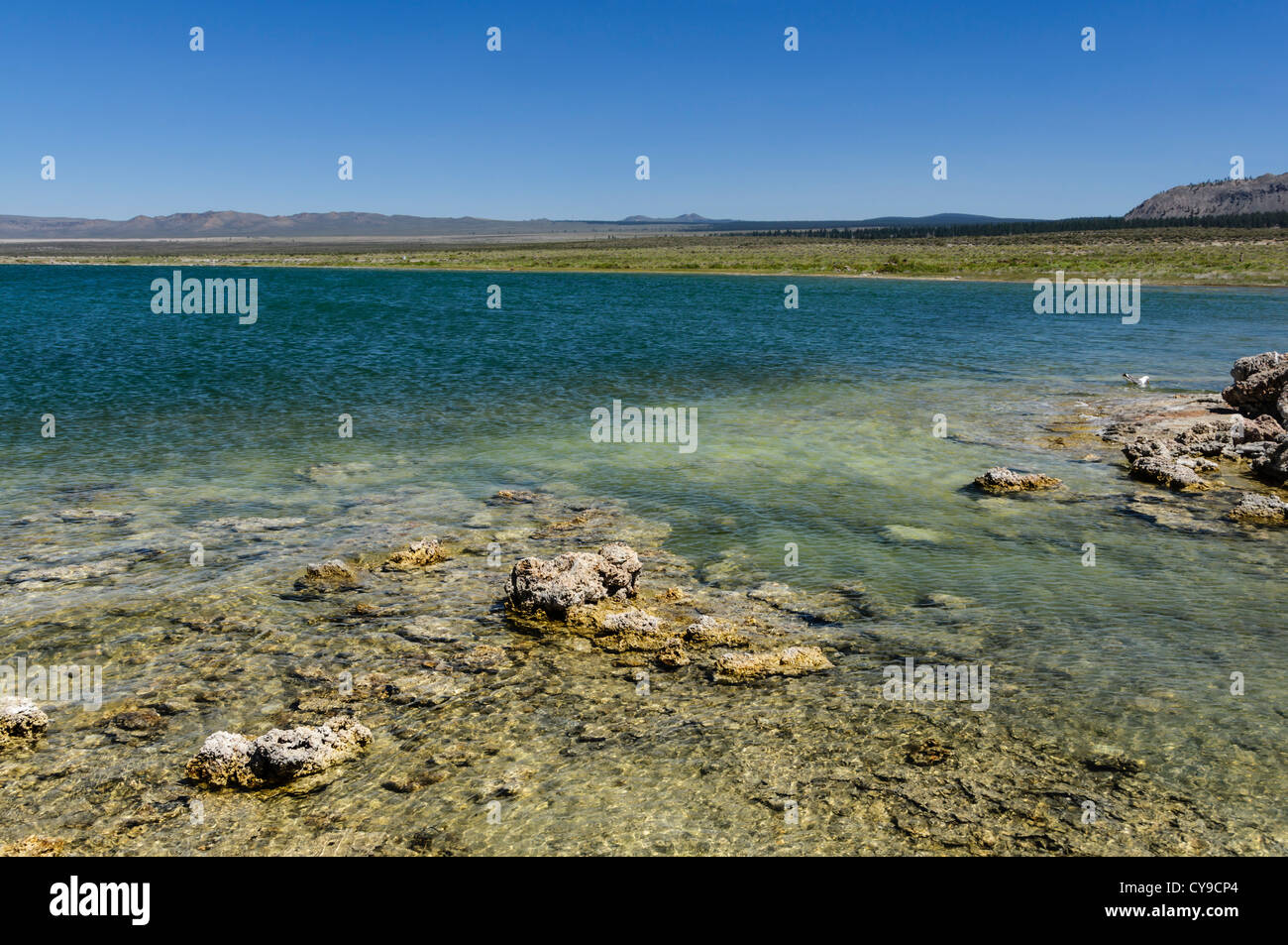 Lago mono, Sud tufo. I colori delicati delle acque poco profonde. Foto Stock