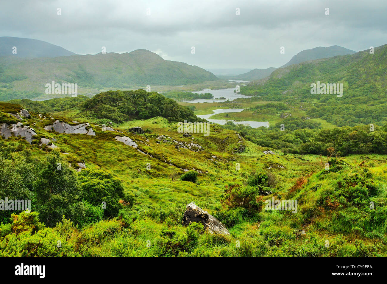 Laghi di Killarney, Killarney National Park, la Contea di Kerry, Irlanda. Foto Stock