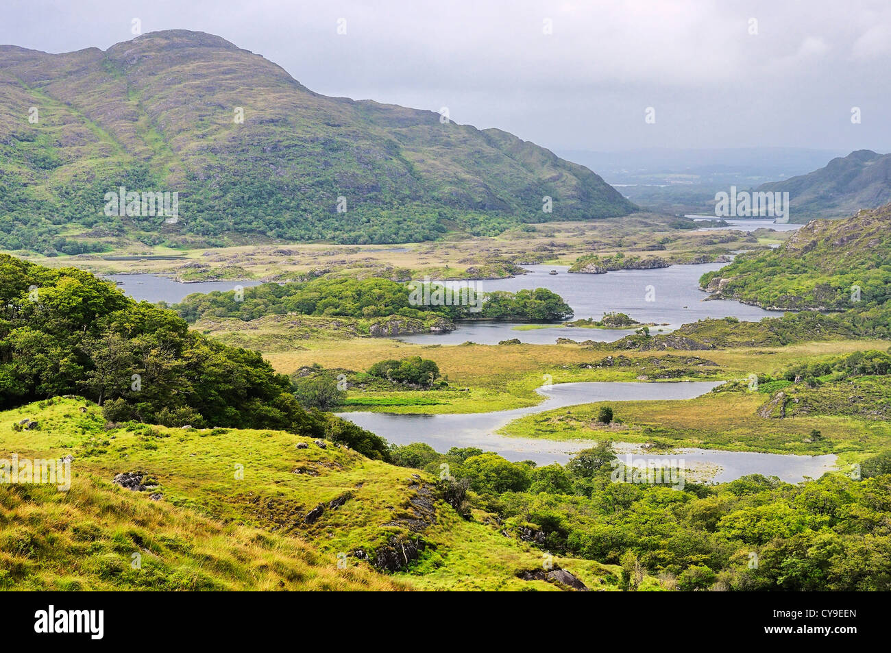 Laghi di Killarney, Killarney National Park, la Contea di Kerry, Irlanda. Foto Stock