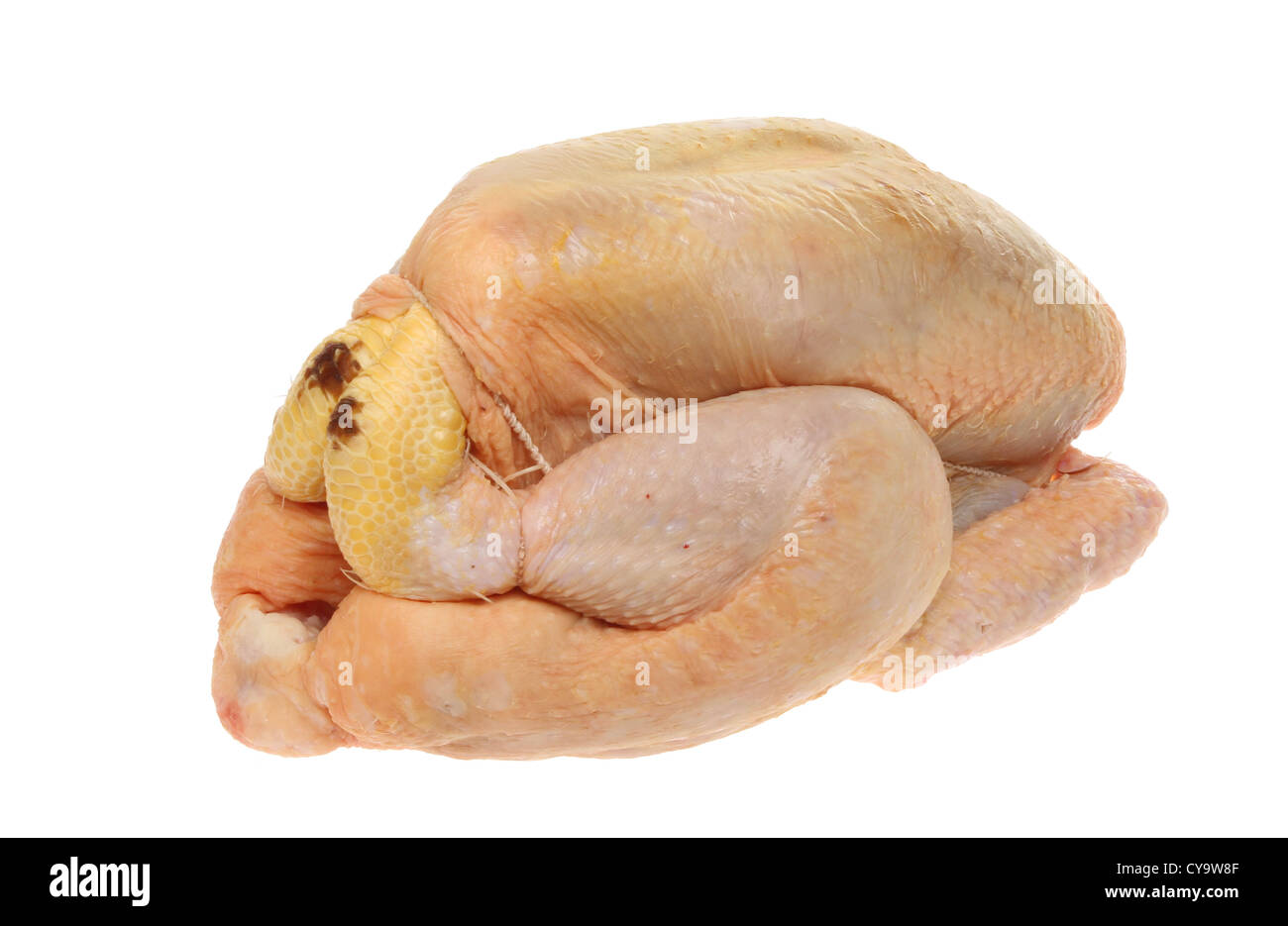 Materie di mais pollo alimentato joint isolata contro bianco Foto Stock