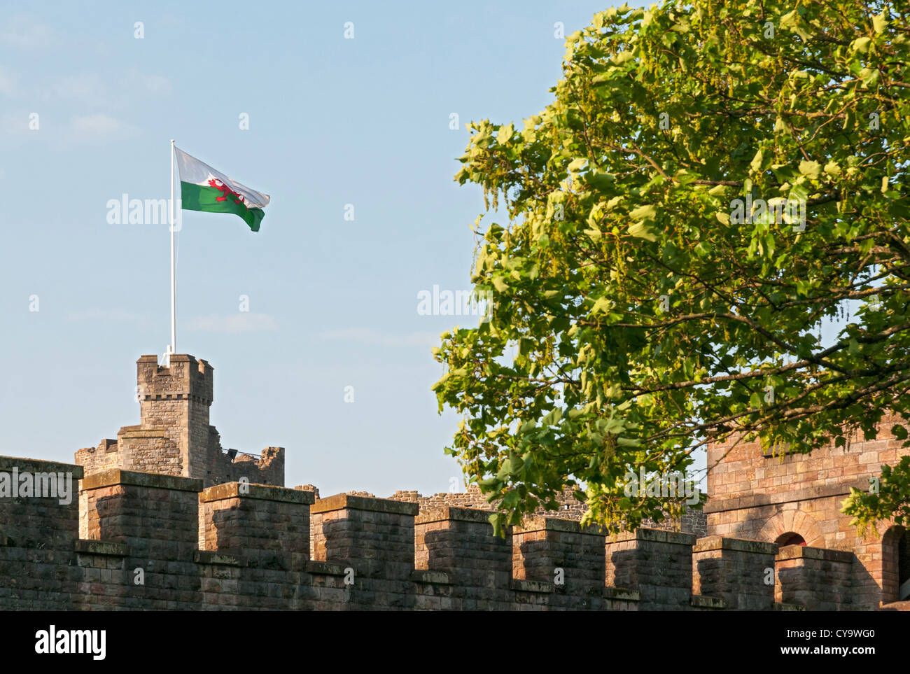 Il Galles, Castello di Cardiff, Gallese bandiera sul Norman tenere Foto Stock