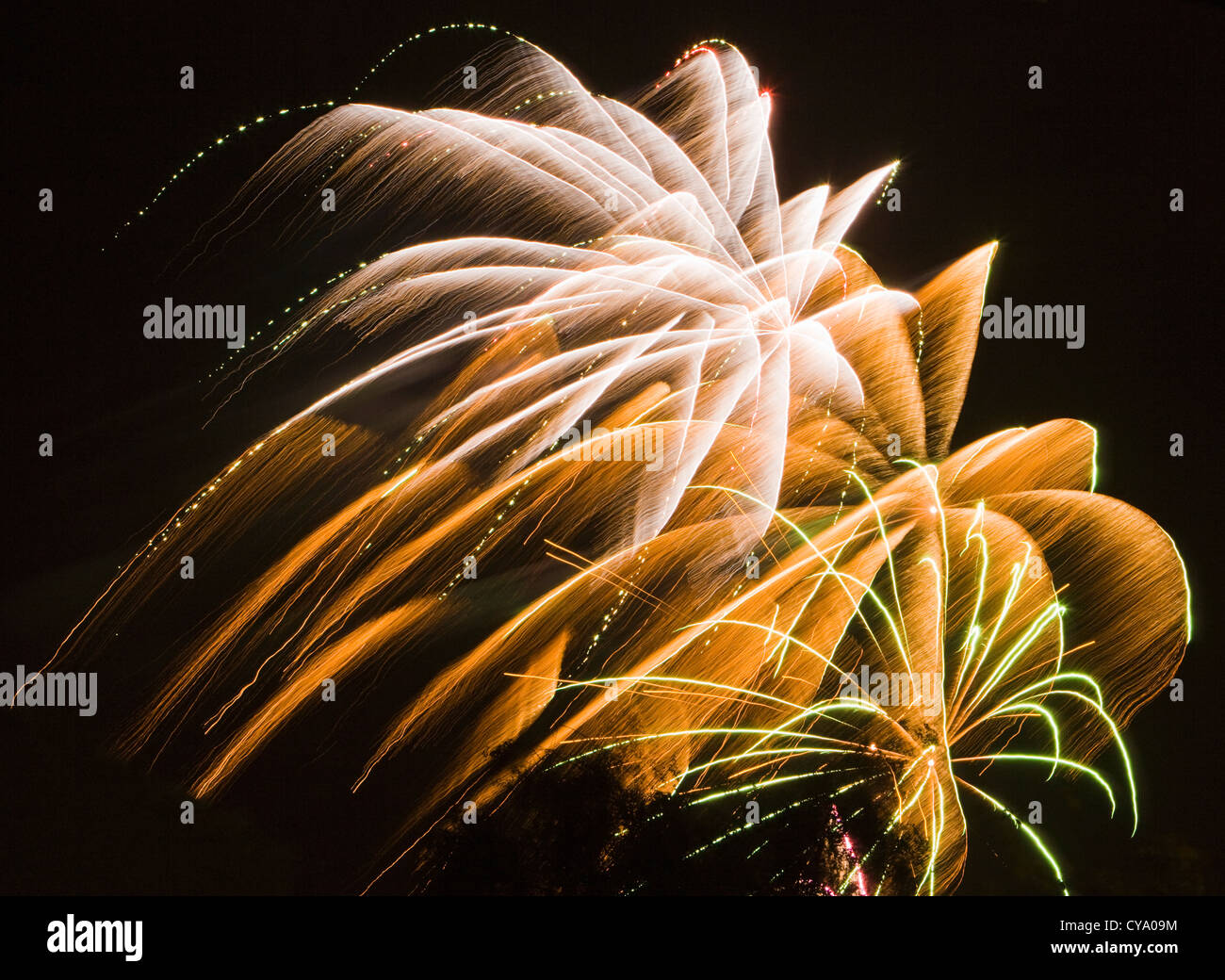 Fuochi d'artificio. Foto Stock