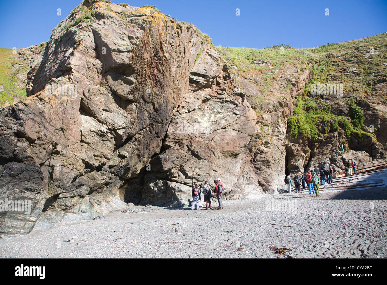 Gruppo di geologi che studiano le rocce in Lizard Point, Cornwall, Inghilterra Foto Stock