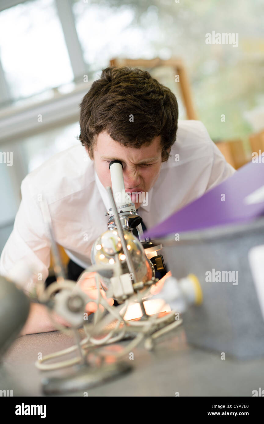 6 forma un livello gli studenti in una classe di scienze utilizzando microscopi secondario scuola globale , Wales UK Foto Stock