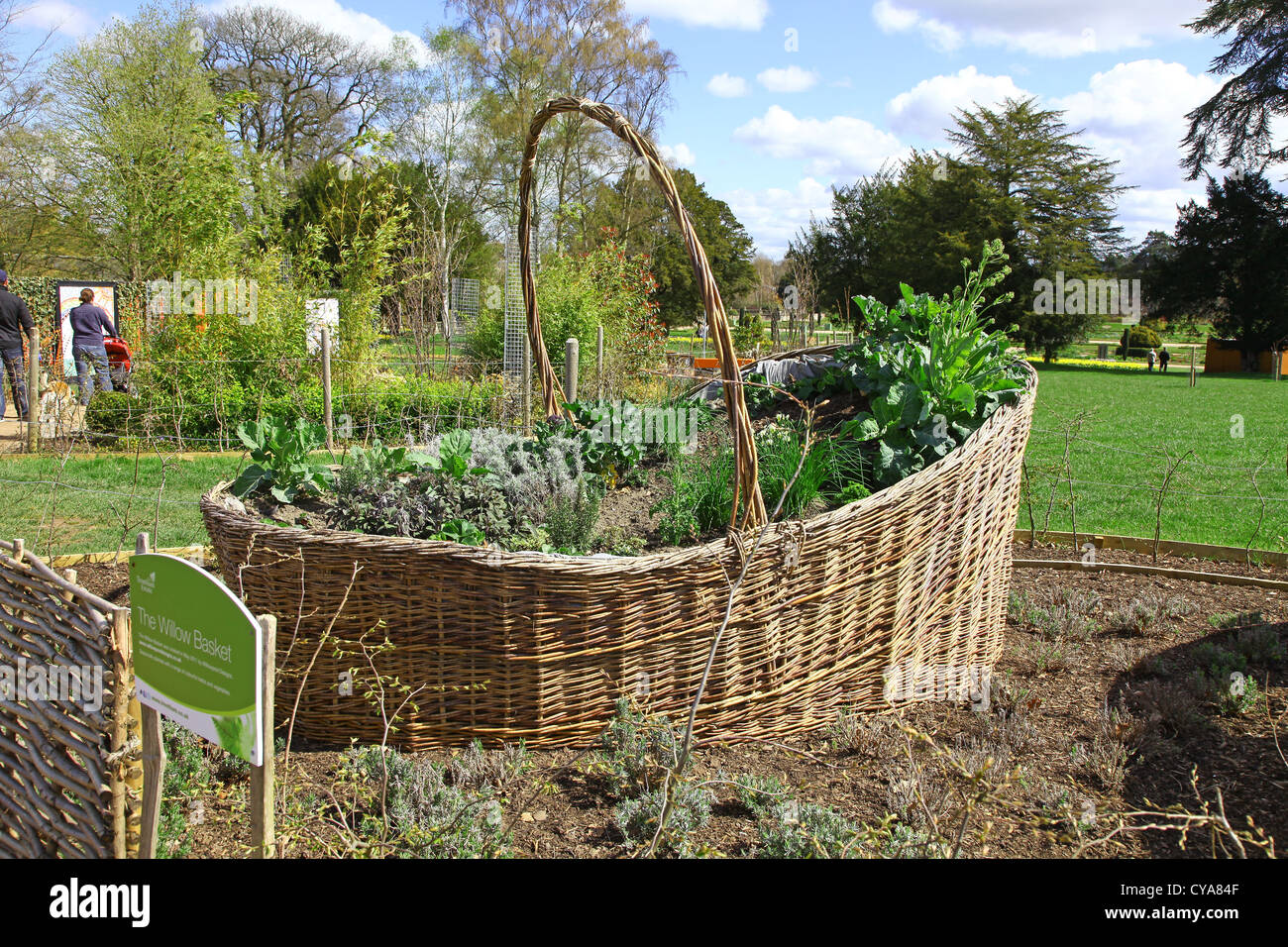 Il Willow Basket Garden, piantato con verdure, a Trentham Gardens Stoke-on-Trent Staffordshire England UK Foto Stock