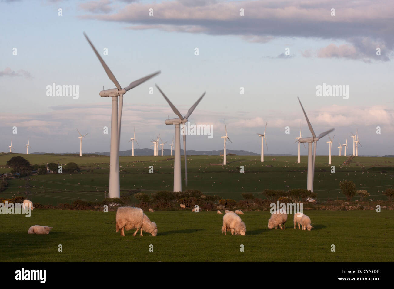 Parchi eolici tra Mynydd Mechell e Llanddeusant Foto Stock