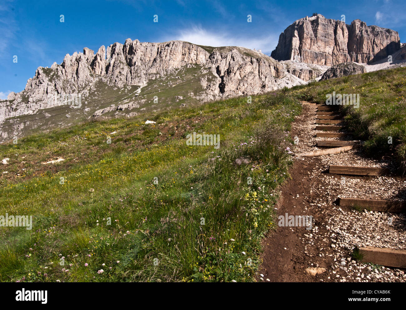 Sentiero escursionistico dal Passo Pordoi fino a Forcella Pordoi sulla Sella cresta di montagna nelle Dolomiti in Italia con prato di montagna, picchi e cielo blu Foto Stock