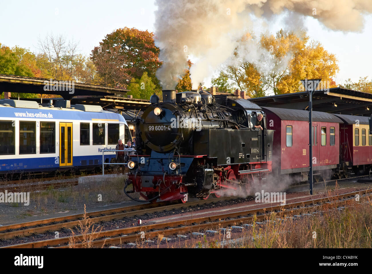 Harzer Schmalspurbahnen vapore servizio lasciato Quedlinburg sulla linea Selhethalbahn. Harz Elba Express unità sulla linea principale. Foto Stock