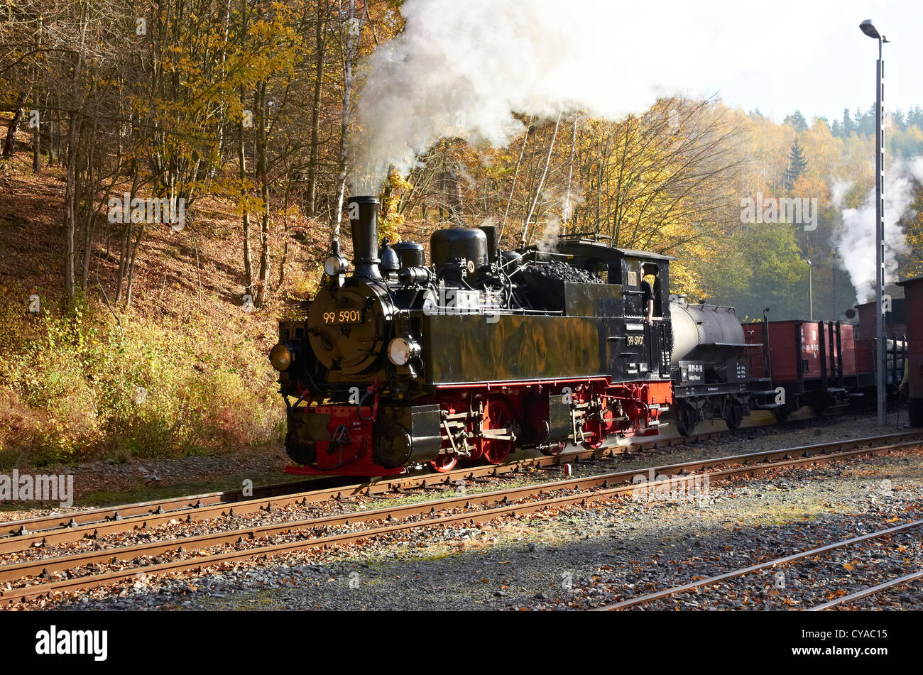 Harzer Schmalspurbahnen patrimonio di bolina vapore treno merci lasciando Magdesprung sulla linea Selketalbahn. Foto Stock