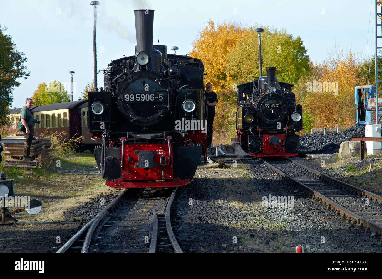 Harzer Schmalspurbahnen vapore patrimonio loco presso Gernrode sparso sulla linea Selketalbahn. Mallet 0-4-4-0T SERBATOIO MOTORI Foto Stock