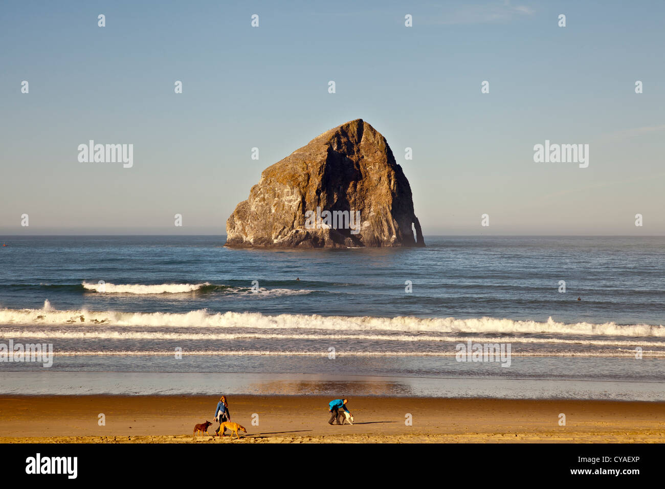 Stack di roccia sulla costa del Pacifico in Oregon USA Foto Stock