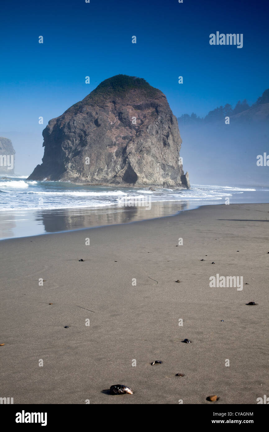 Una pila di rocce tipiche della fascia costiera Oregon USA Foto Stock