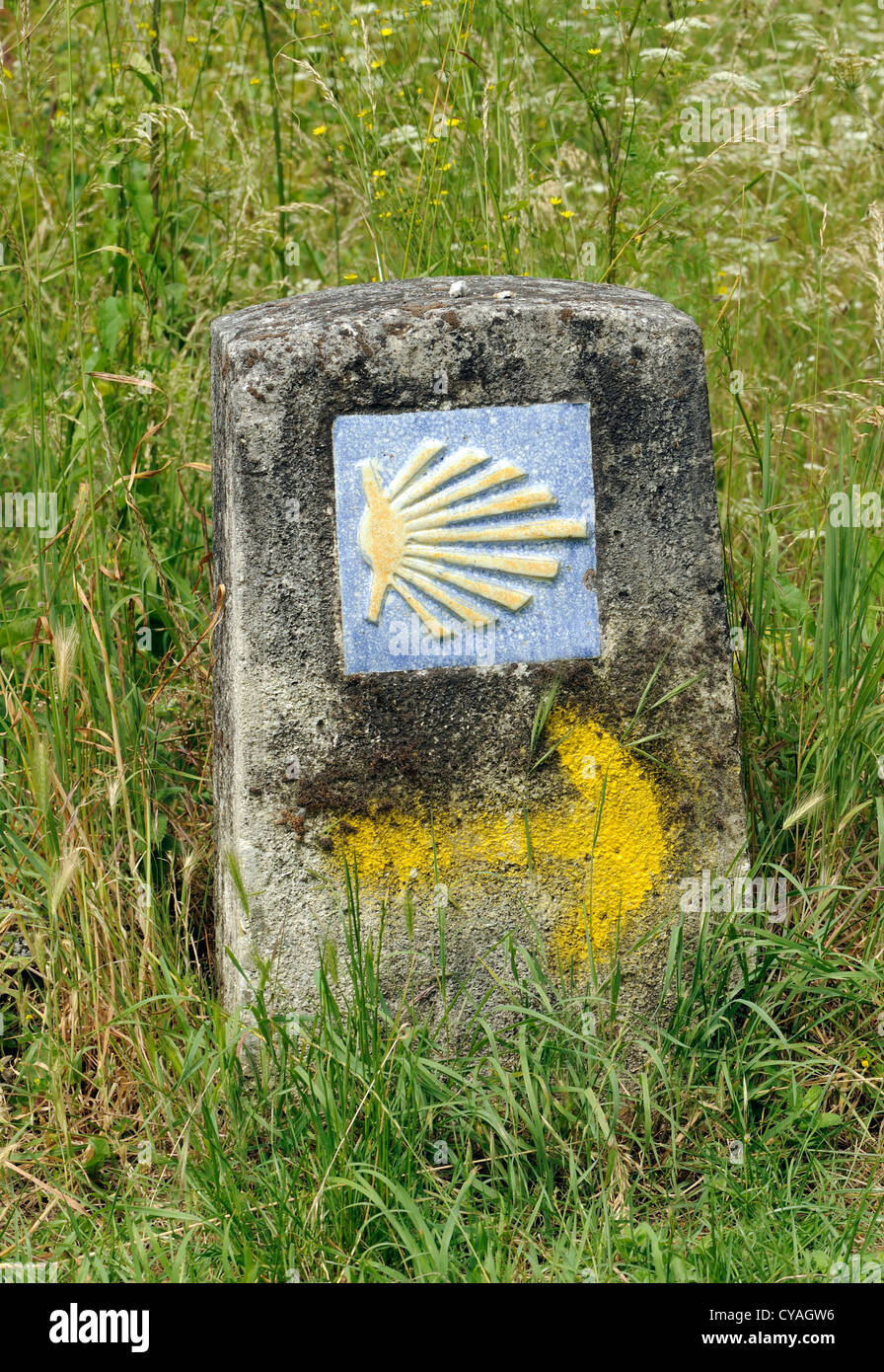 Scaloppina al simbolo della shell marcatura il cammino dei pellegrini verso Santiago de Compostela. Herrerias, Leon, Galizia, Spagna Foto Stock