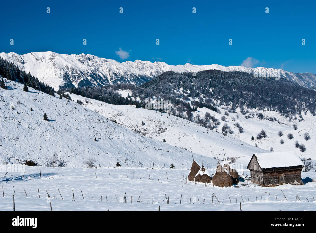 Paesaggio invernale con Piatra Craiului mountains Foto Stock