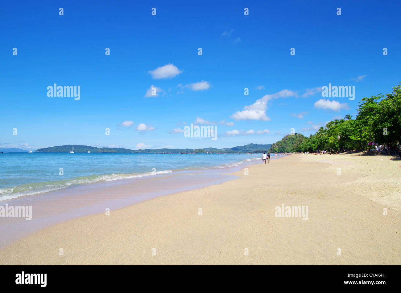 Bellissima spiaggia e mare tropicale Foto Stock