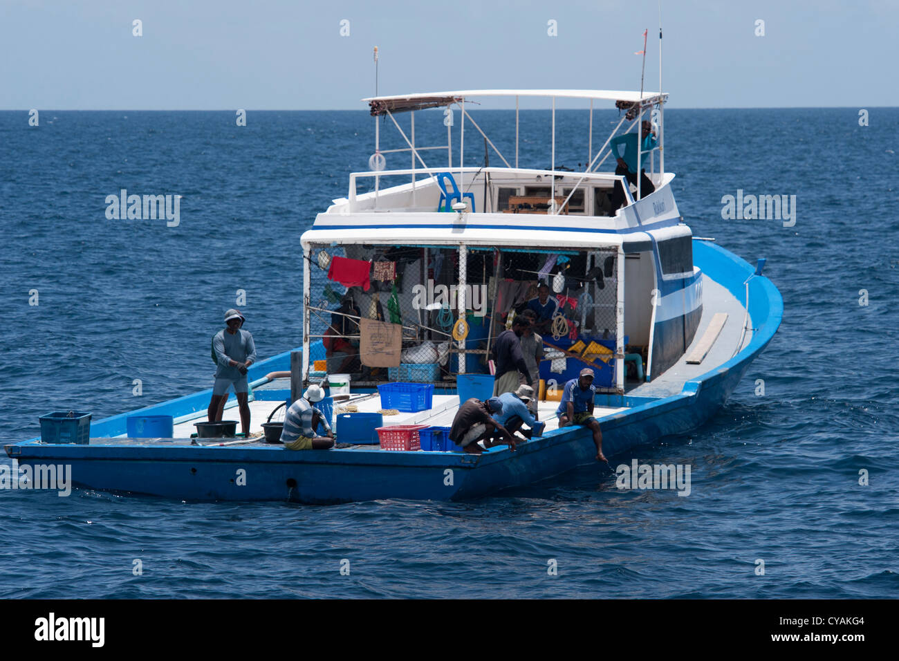 Tonno maldiviano barca da pesca con Pantropical Spotted Delfino Stenella attenuata, porpoising davanti ad esso. Maldive. Foto Stock