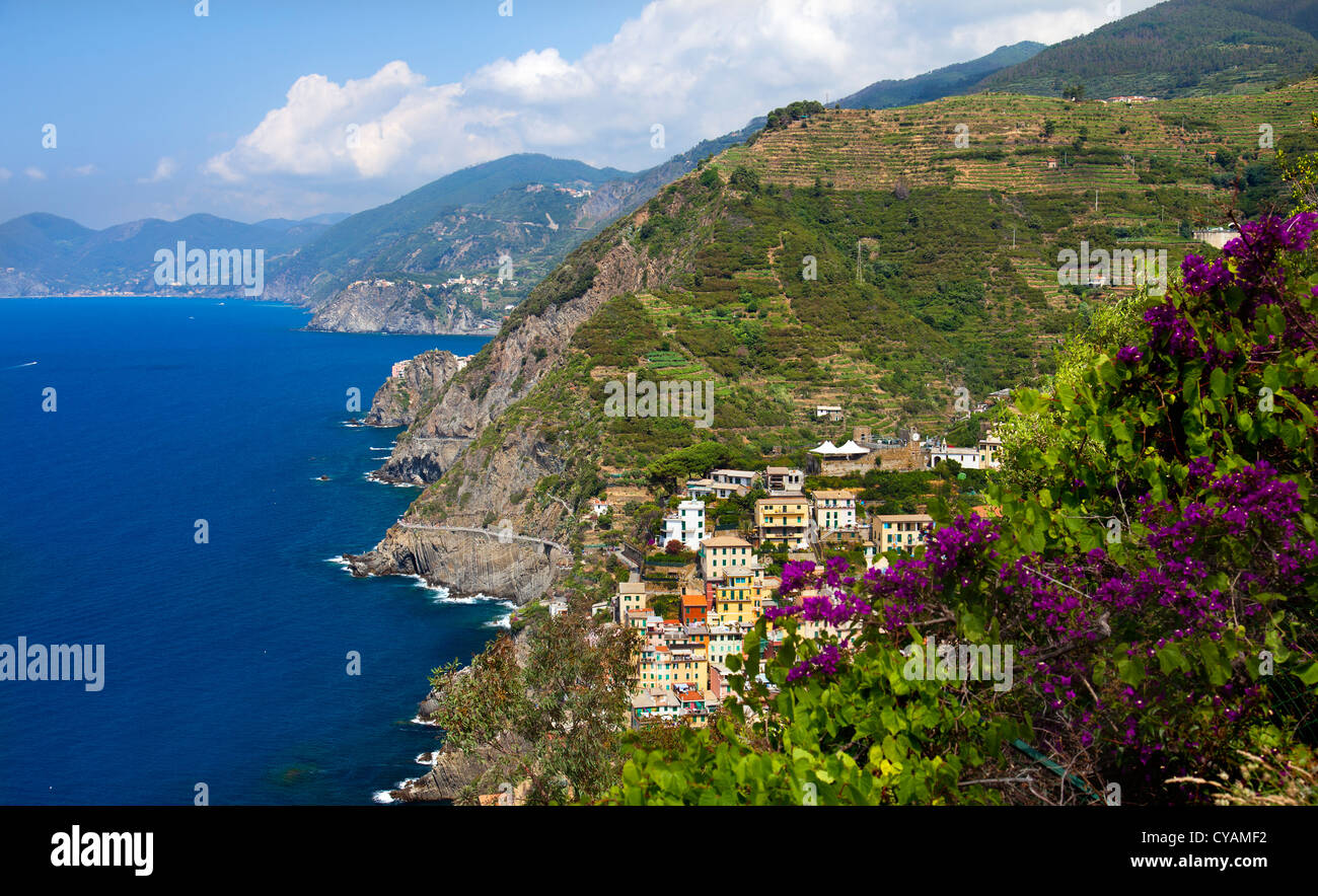 Parco Nazionale delle Cinque Terre.Liguria,l'Italia. Foto Stock