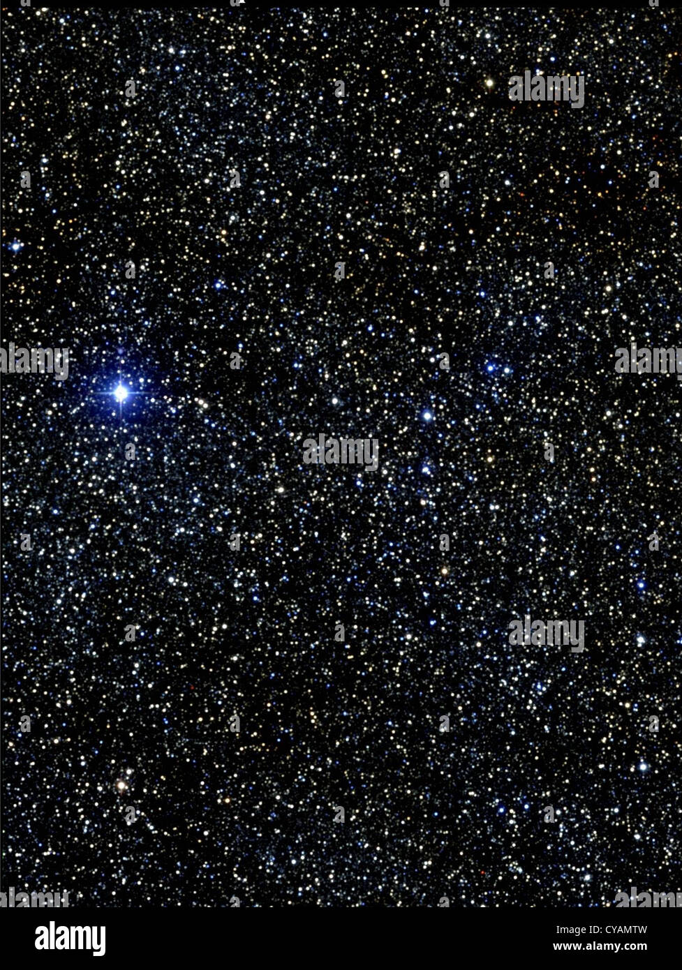 Aprire cluster Messier 6 Foto Stock