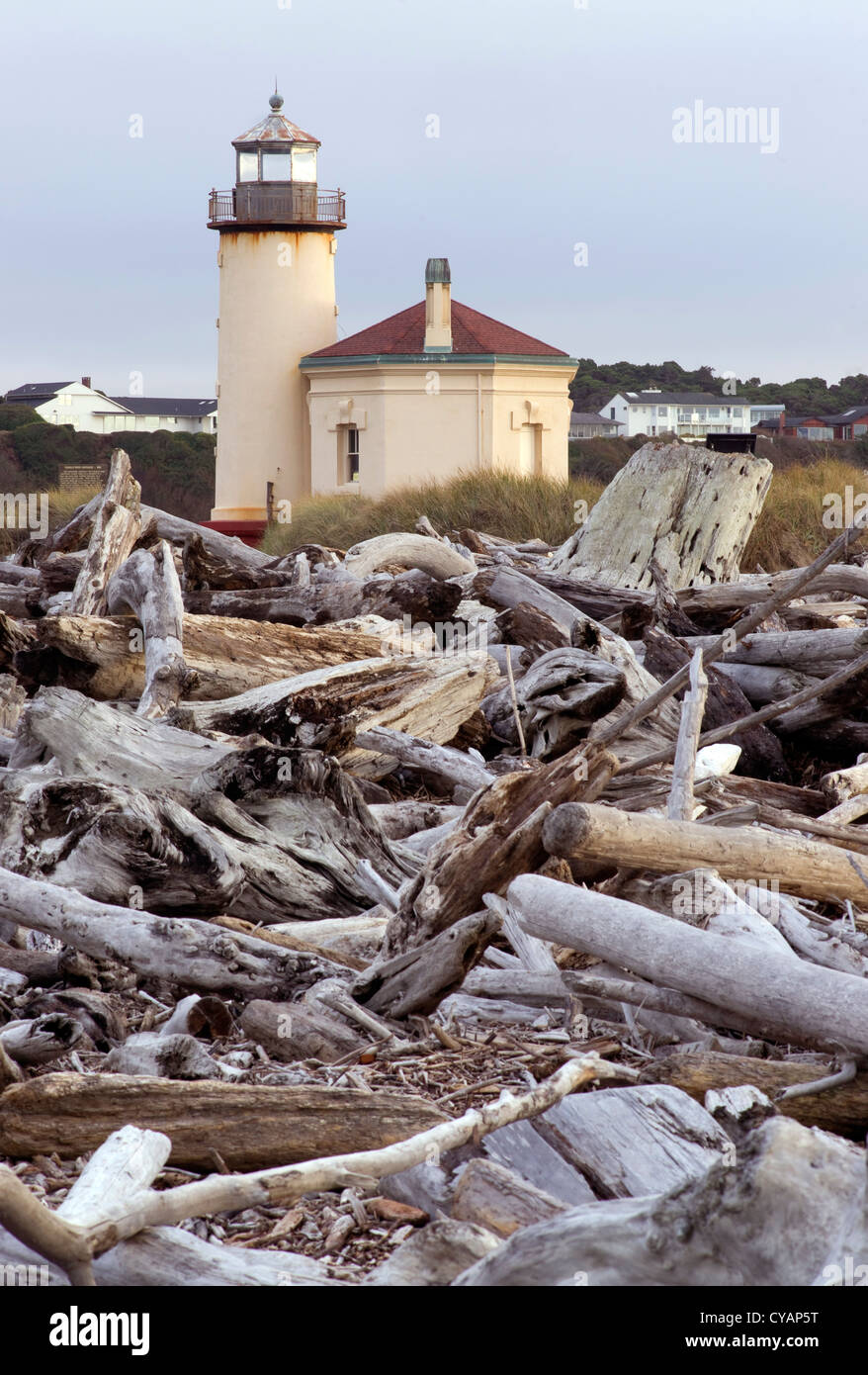 Beach driftwood a bassa marea di fronte fiume Coquille faro in Oregon Foto Stock