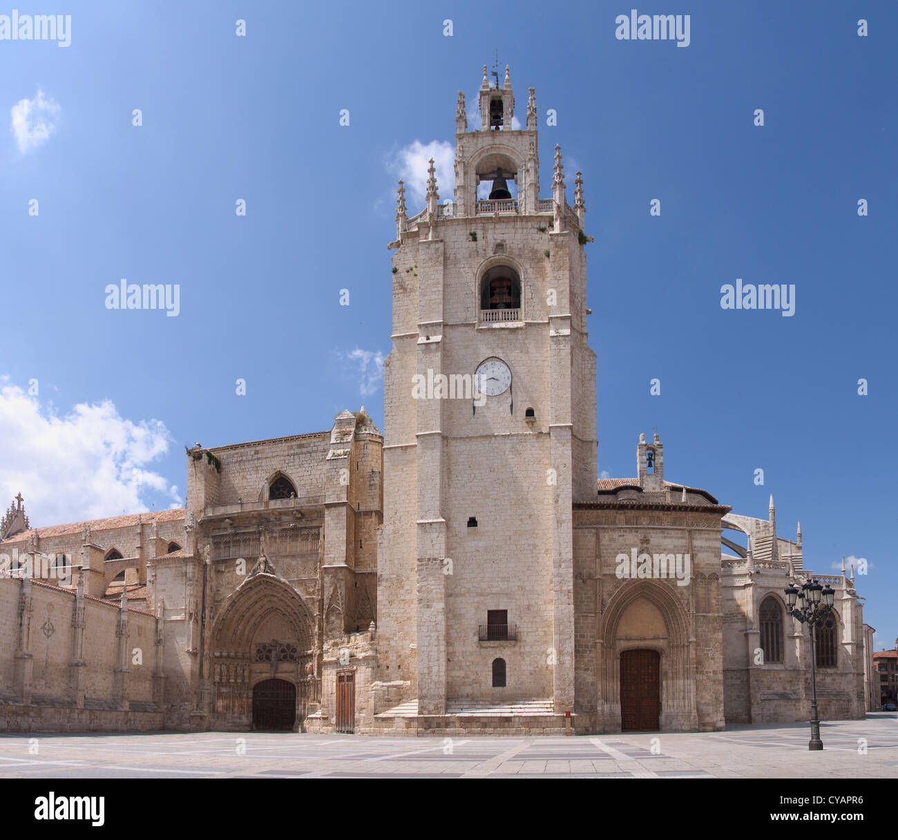 Cattedrale di Palencia.Castilla y Leon.Spagna. Foto Stock