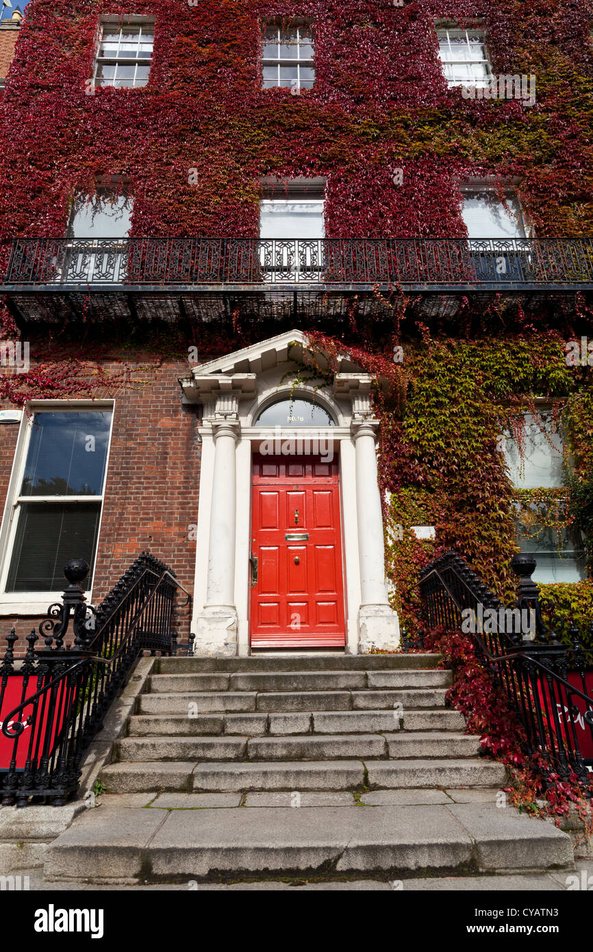 Coperto di edera Georgian House su St Stephen's Green a Dublino Irlanda Foto Stock