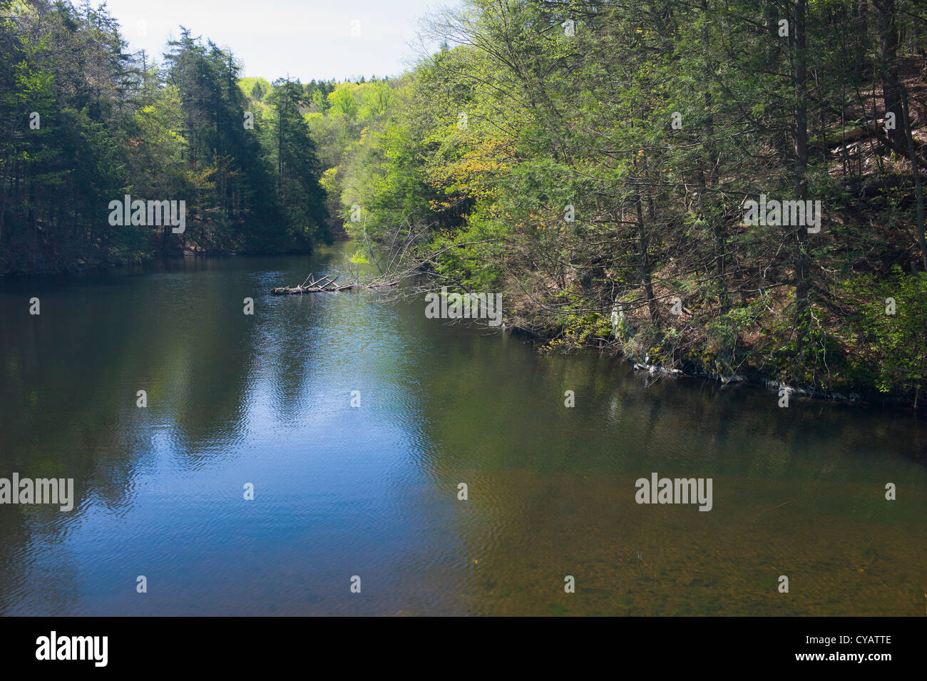 Lago SANFORDTOWN RD REDDING CONNECTICUT 06896 Foto Stock