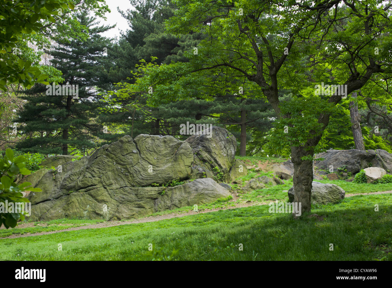 Il CENTRAL PARK DI NEW YORK CITY NEW YORK STATI UNITI D'AMERICA Foto Stock
