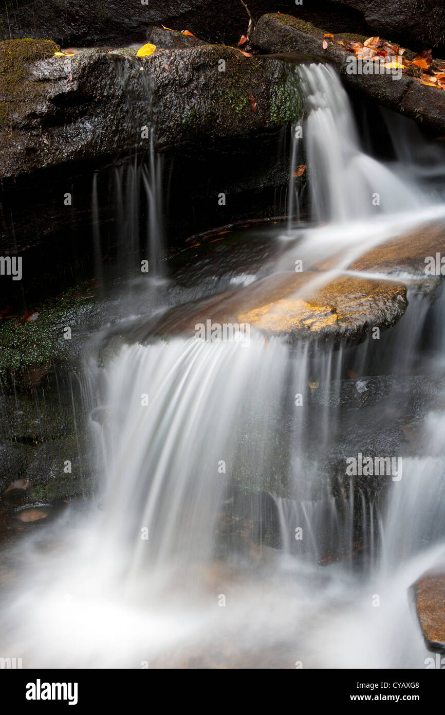 Cedar Rock Falls - Pisgah National Forest - nei pressi di Brevard, North Carolina, STATI UNITI D'AMERICA Foto Stock