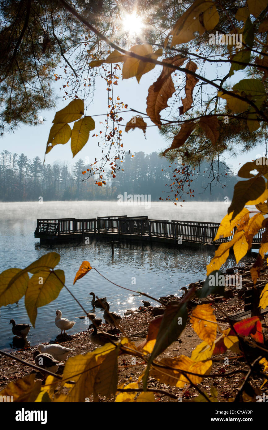 Il lago di Julian Park Molo Pesca - Arden, North Carolina, STATI UNITI D'AMERICA Foto Stock