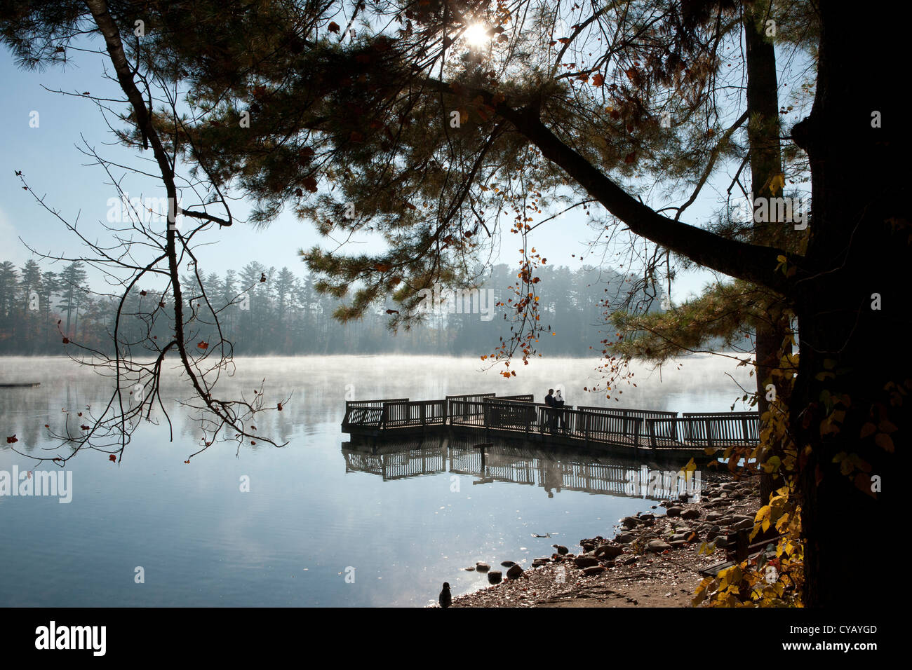 Il lago di Julian Park Molo Pesca - Arden, North Carolina, STATI UNITI D'AMERICA Foto Stock