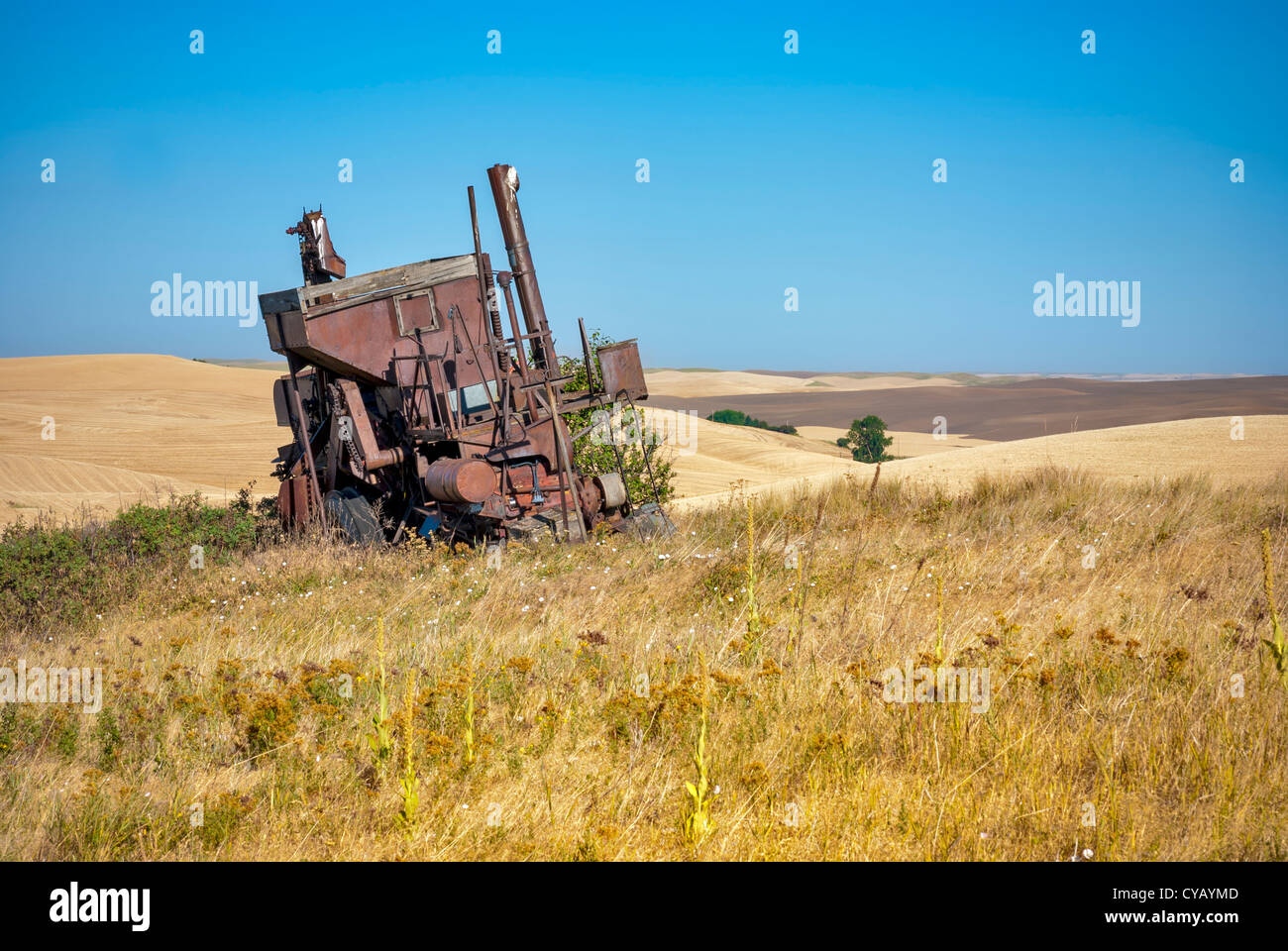Mietitrebbia in Washington con campi di grano Foto Stock