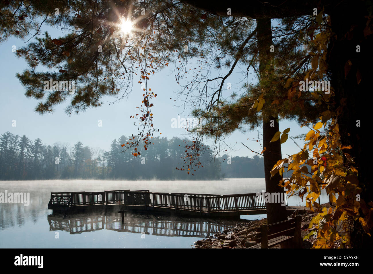 Il lago di Julian Park Molo Pesca - Arden, North Carolina, STATI UNITI D'AMERICA Foto Stock