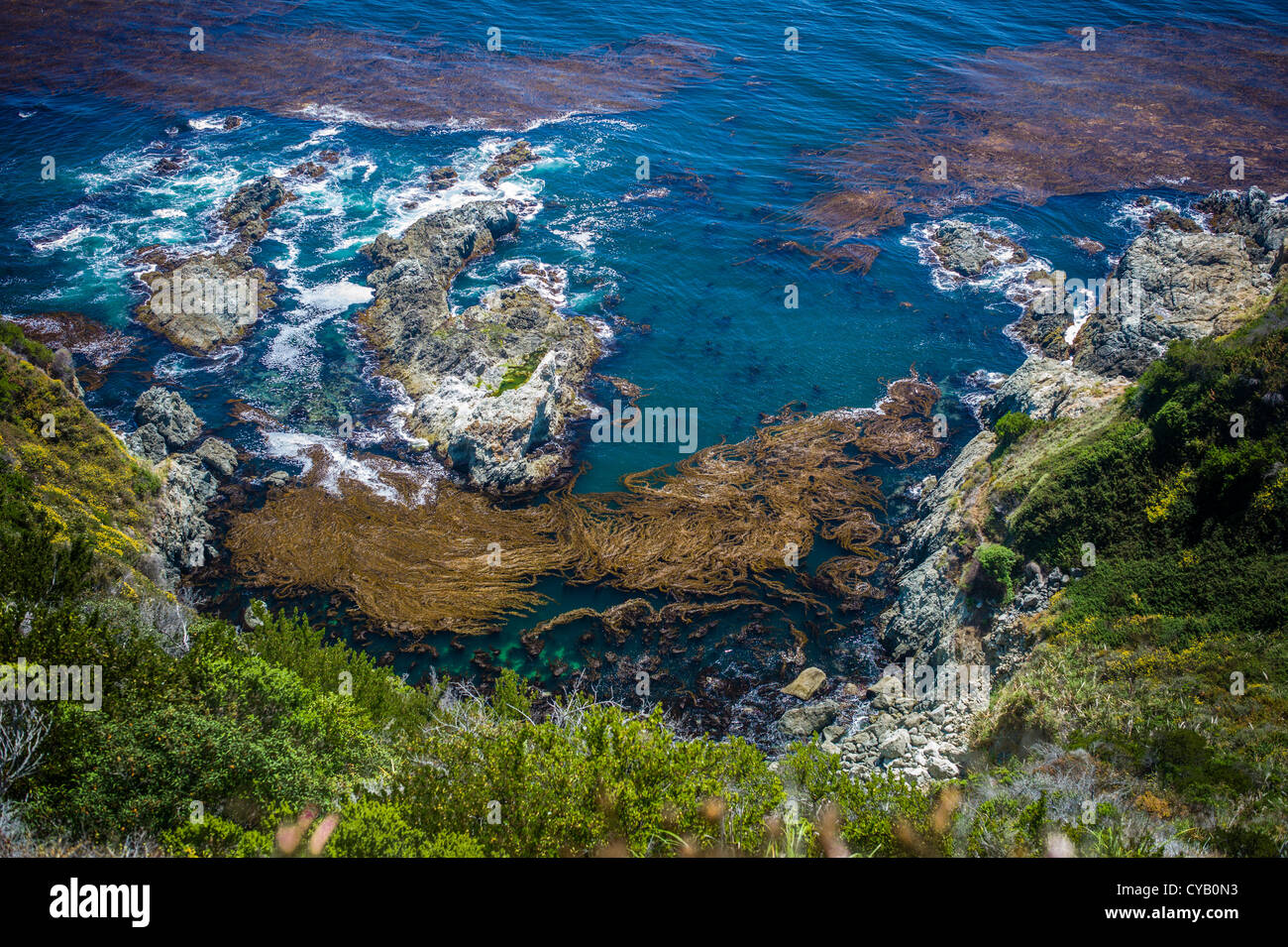 Oceano Pacifico VISTO DA JULIA PFEIFFER BURNS STATE PARK CALIFORNIA Foto Stock