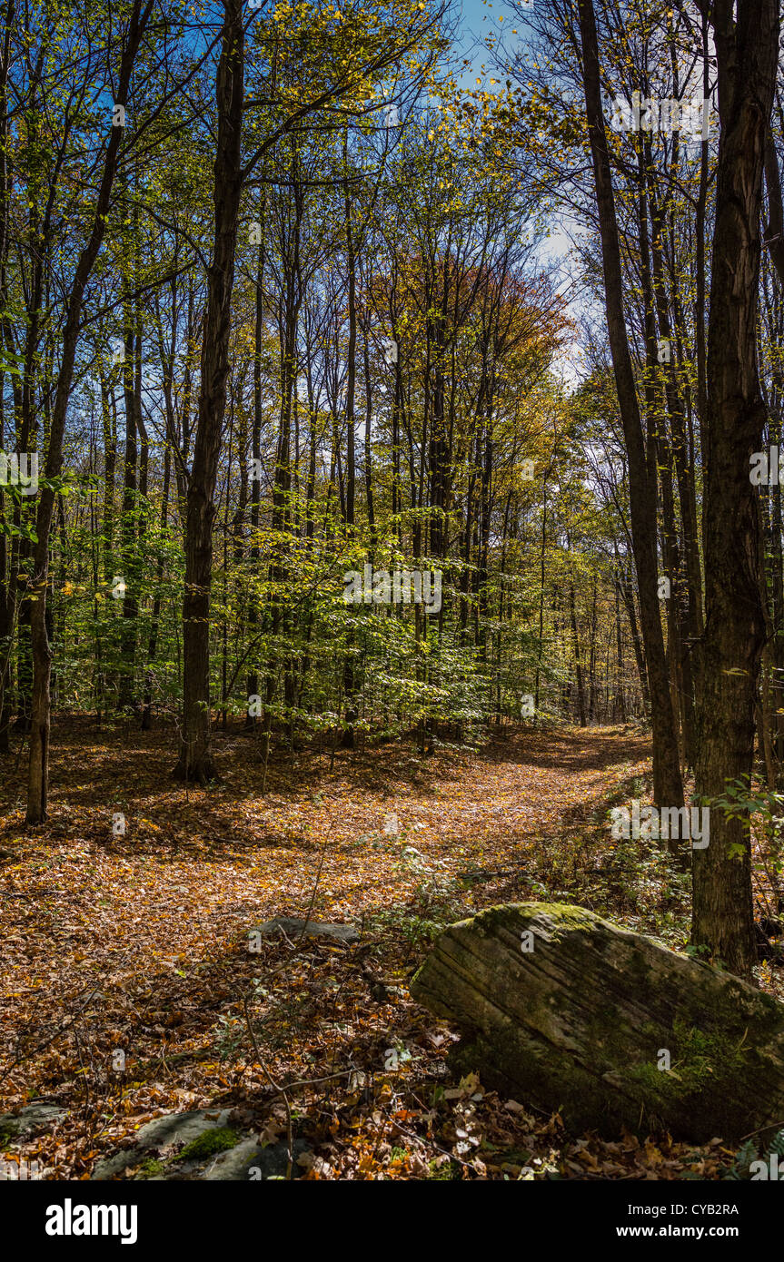 La Equinox Preservation Trust MANCHESTER VERMONT Foto Stock