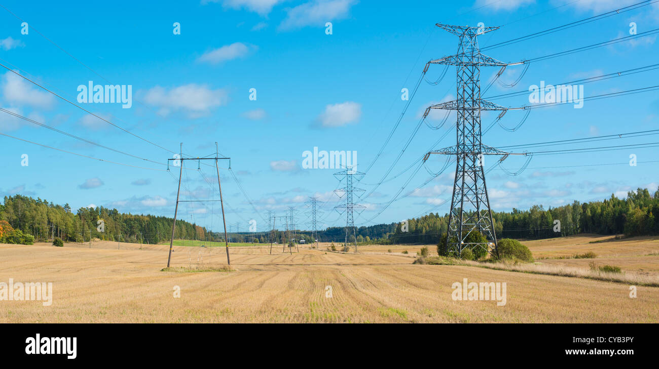 Cavi di energia elettrica stiramento verso l'orizzonte su terreni agricoli Foto Stock