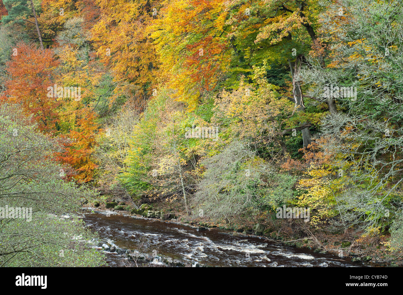 Fiume di autunno Foto Stock