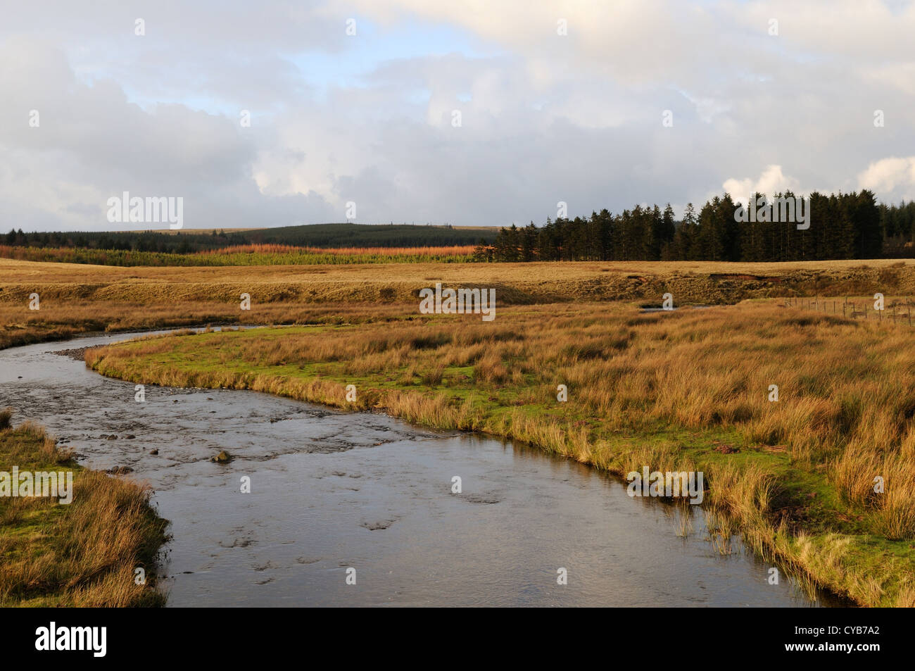 Infant Usk fiume che scorre nella Usk cisterna drammatica luce invernale Parco Nazionale di Brecon Beacons Carmarthenshire Galles Foto Stock