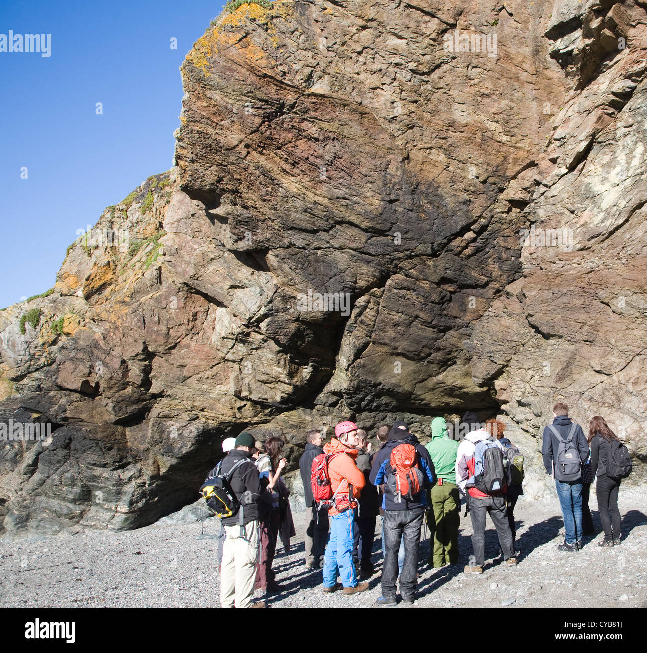 I geologi studiare le rocce in scogliere a Lizard Point, Cornwall, Inghilterra Foto Stock