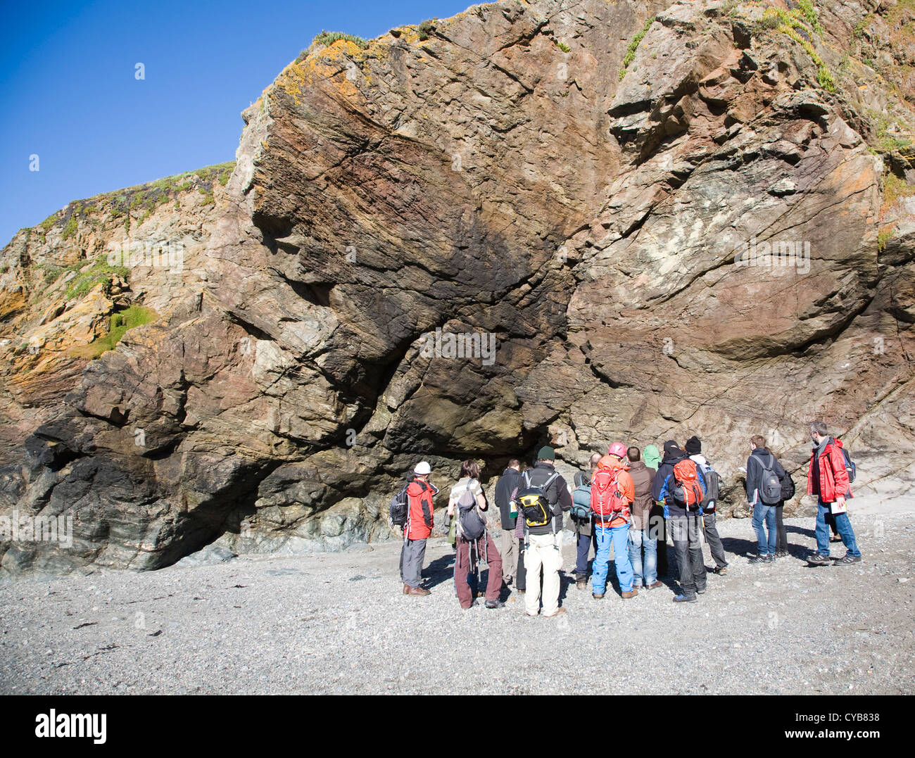 I geologi studiare le rocce in scogliere a Lizard Point, Cornwall, Inghilterra Foto Stock