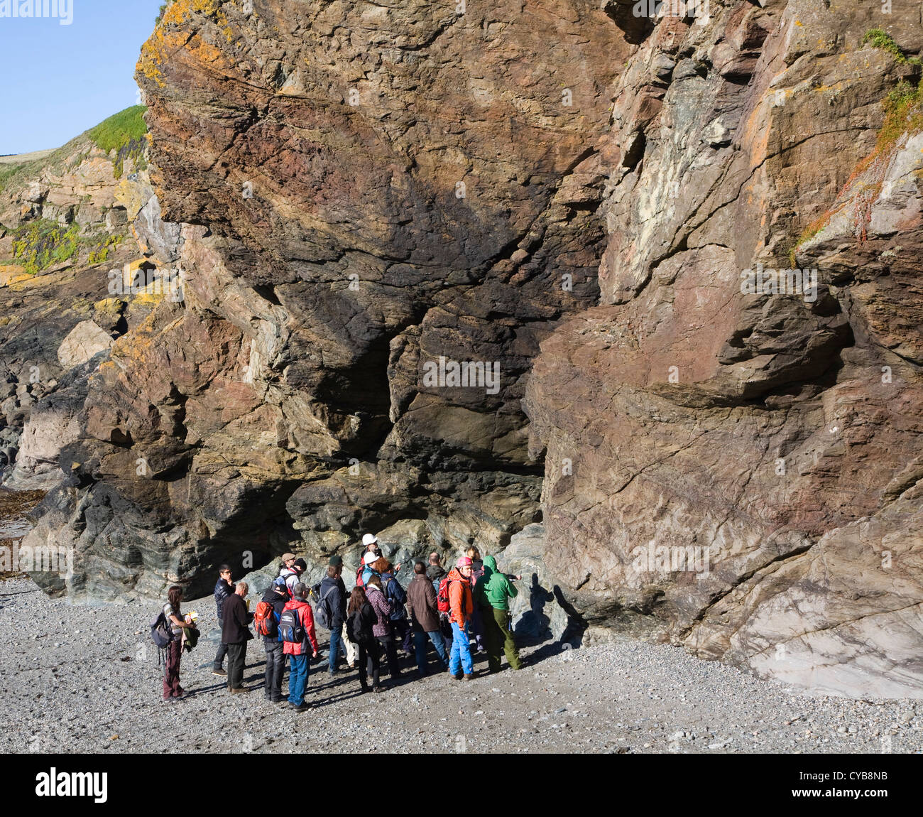 I geologi studiare le rocce in scogliere a Lizard Point, Cornwall, Inghilterra Foto Stock