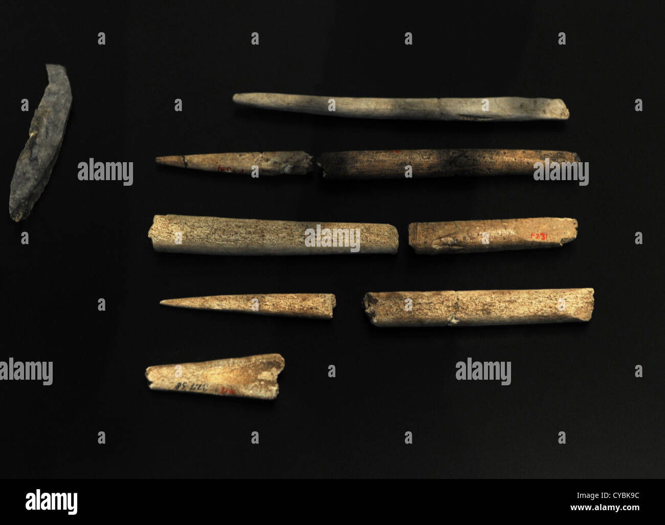 Strumenti di selce e ossa di animali. Eseguite da Homo sapiens (Cro-Magnon). Il Paleolitico superiore. Foto Stock