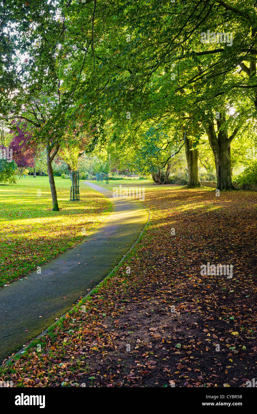 Città Urban park e gli alberi in autunno, England, Regno Unito - in ultimo pomeriggio di sole Foto Stock
