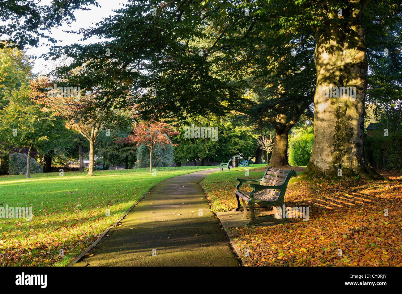 Una panchina nel parco - Collett Park, Shepton Mallet, Somerset, in autunno, REGNO UNITO Foto Stock